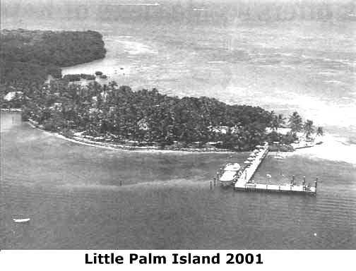 Little Palm In 2001