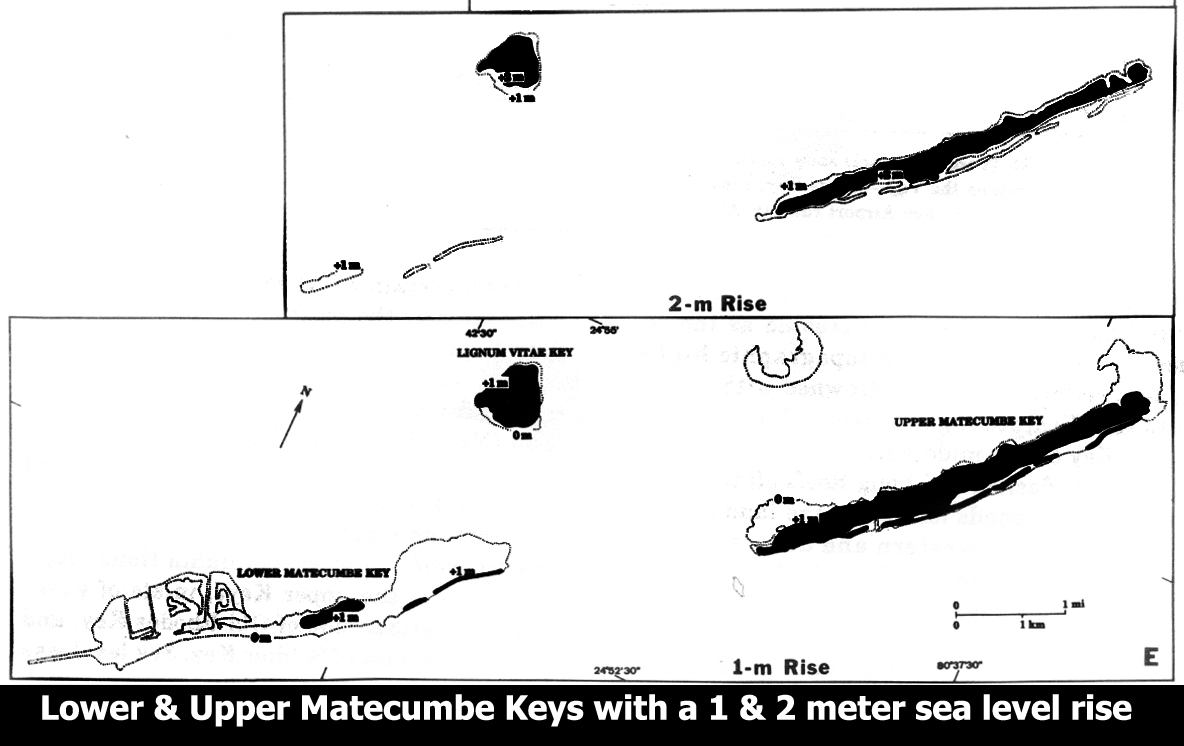 Sea Level Matecumbes